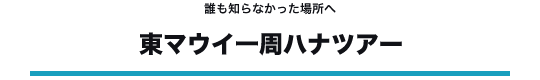 東マウイ一周「ハナ」ツアー