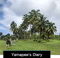 Yamapee’s Diary