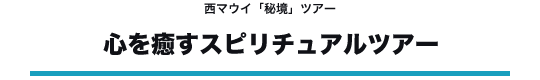 西マウイ「秘境」ツアー